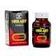 Шиладжит (Мумие) Дабур 30 капсул (Shilajit Capsules Dabur)